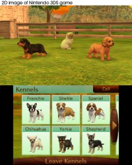 nintendogs,nintendo,test