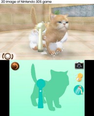 nintendogs,nintendo,test