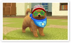 nintendogs,nintendo,test