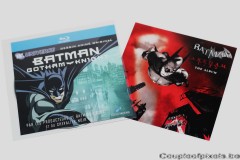 batman,batman arkham city,rocksteady,warner,figurine,collector,dossier presse