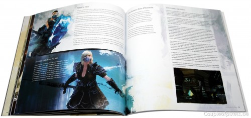 guild wars 2, kit presse, déballage