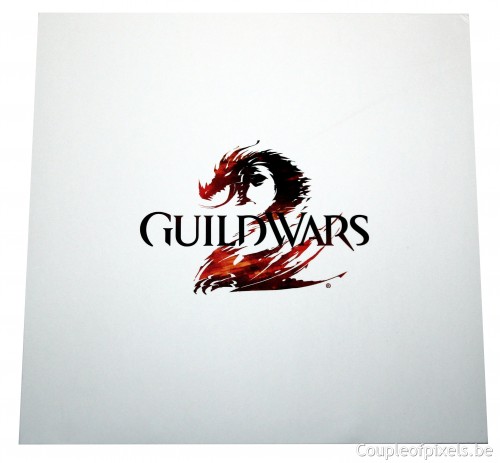 guild wars 2, kit presse, déballage