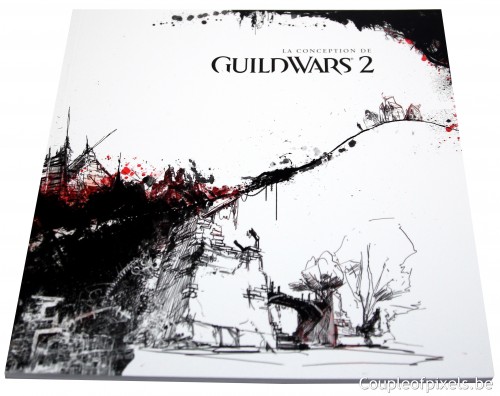 guild wars 2, kit presse, déballage