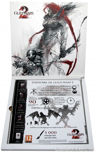 guild wars 2, kit presse, déballage