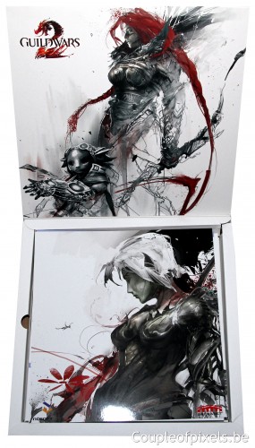 guild wars 2, kit presse, déballage