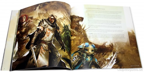 guild wars 2, kit presse, déballage