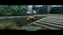 tokyo jungle,test,psn,sony,ps3