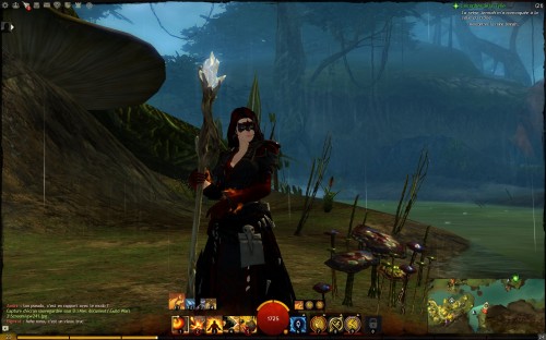 guild wars 2,ncsoft,mmo,pc,test