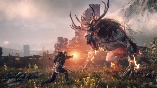 e3 2013,the witcher 3,wild hunt,cd projekt