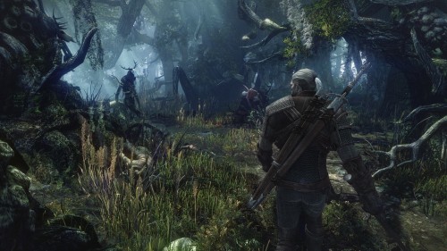 e3 2013,the witcher 3,wild hunt,cd projekt