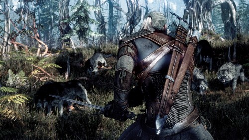 e3 2013,the witcher 3,wild hunt,cd projekt