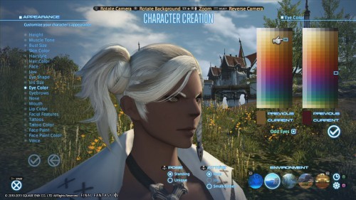 final fantasy,final fantasy xiv,a realm reborn,square enix,test