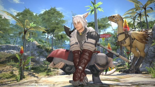 final fantasy,final fantasy xiv,a realm reborn,square enix,test