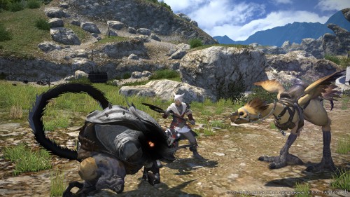 final fantasy,final fantasy xiv,a realm reborn,square enix,test