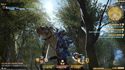 final fantasy,final fantasy xiv,a realm reborn,square enix,test