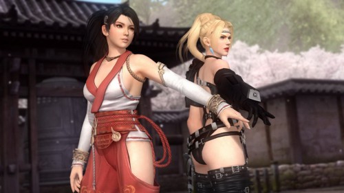 dead or alive 5 ultimate,dead or alive 5,test,baston