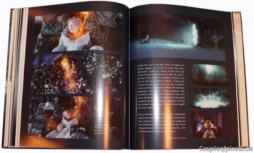 Dans Les Coulisses de La Belle et la Bête, christophe gans, la belle et la bête, artbook,beaux livres, cinéma