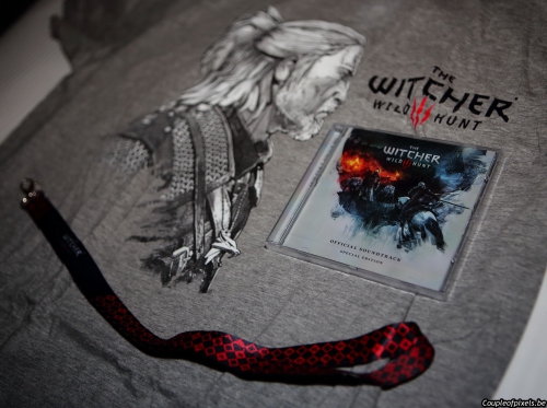 the witcher 3,wild hunt,soirée,lancement,médiéval,sexy