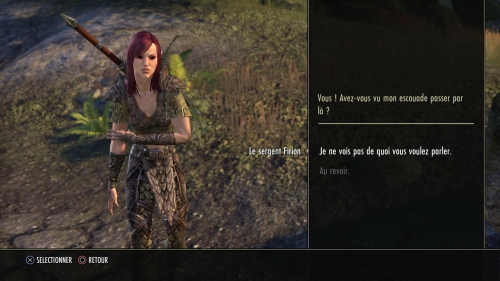 the elder scrolls online,test,avis,mmo,consoles