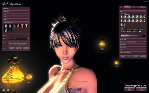 blade and soul,preview,ncsoft,mmo,free to play