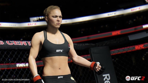 ufc 2,ufc,test,avis,combat,electronic arts