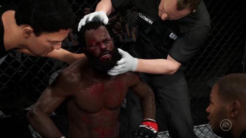 ufc 2,ufc,test,avis,combat,electronic arts