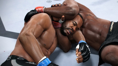 ufc 2,ufc,test,avis,combat,electronic arts