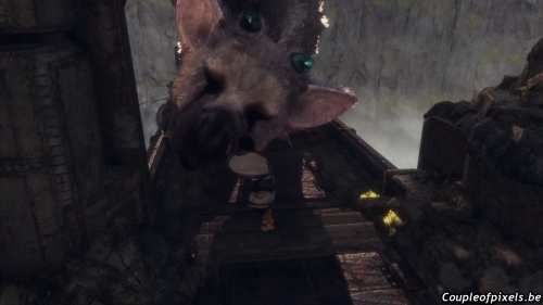 the last guardian,test,avis,fumito ueda