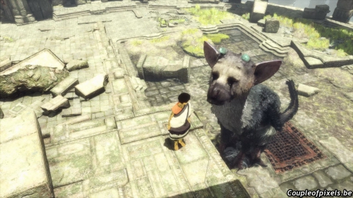 the last guardian,test,avis,fumito ueda