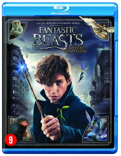 les animaux fantastiques,fantastic beasts,blu ray,dvd,avis,critique