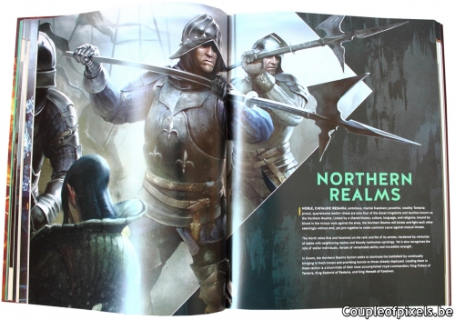 artbook,gwent,art of the witcher card game,cd projekt red,witcher,witcher 3