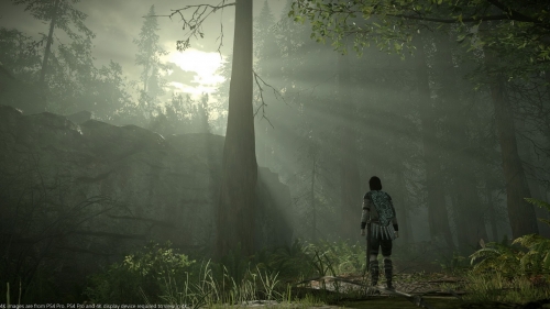 shadow of the colossus,remake ps4,test,avis