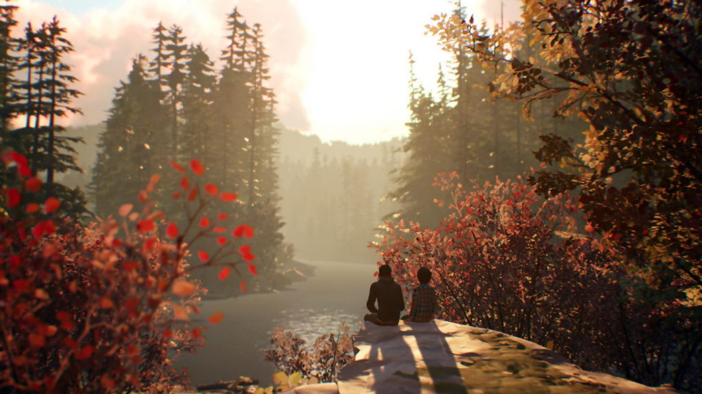 Life is Strange 2 - Complete Edition - Test