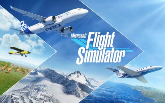 Flight Simulator - Test