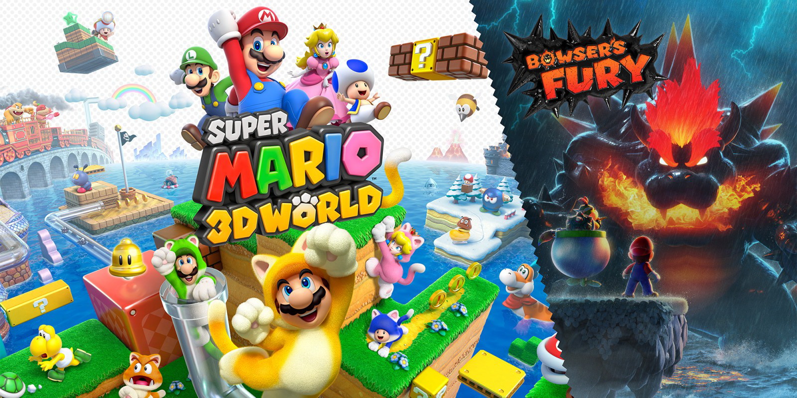 Super Mario 3D World - Test Switch